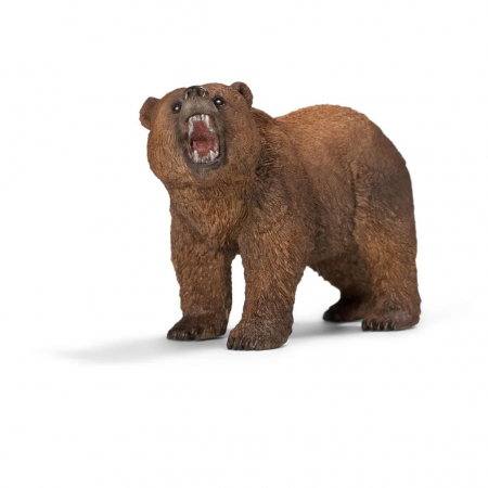 Oso grizzly