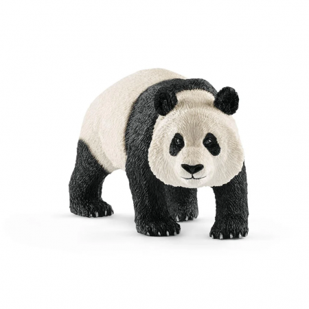 Oso panda gigante macho