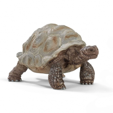 Tortuga gigante