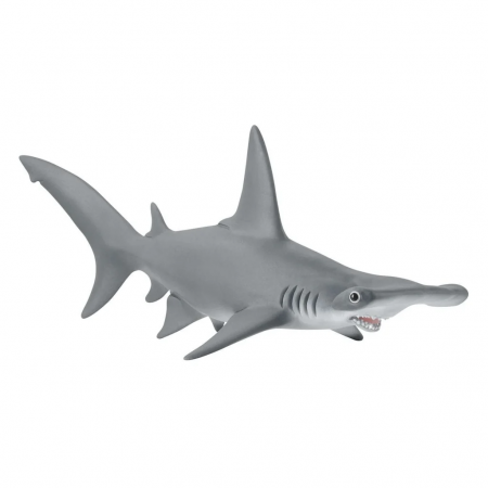 Tiburón martillo