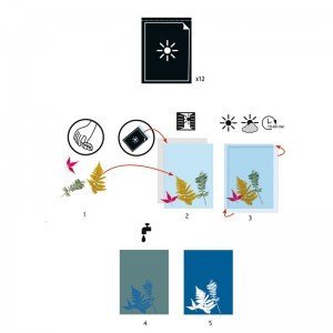 Papel para cianotipia 12... 2