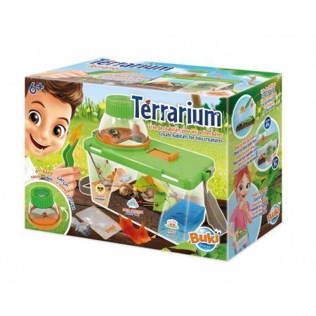 Terrario. Crea hábitat de insectos