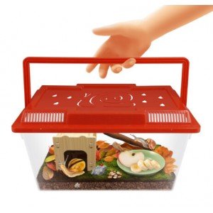 Casa de caracoles. 2