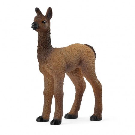 Potro de llama