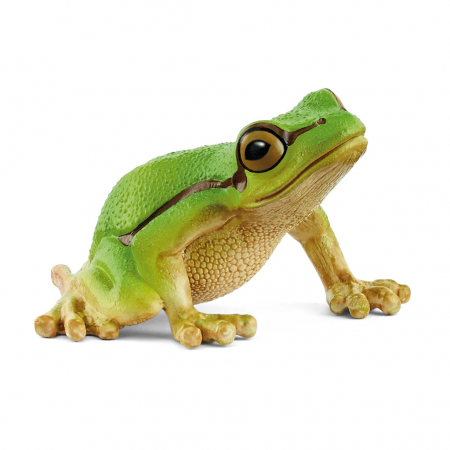 Rana arborícola europea