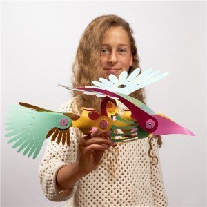 Clixo - Tropical Birds 2