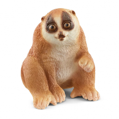 Loris perezoso