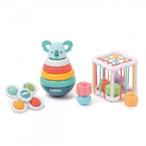 Conjunto de manipulción Ludi