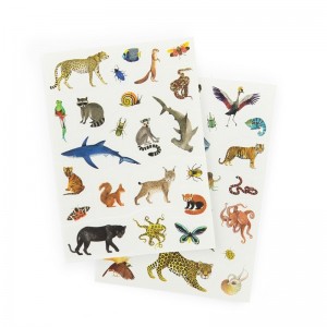 Tattoo MR Tout autour du monde 2