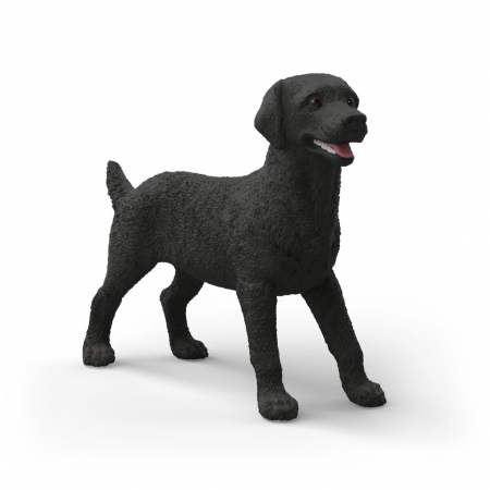 Labrador Retriever hembra negra