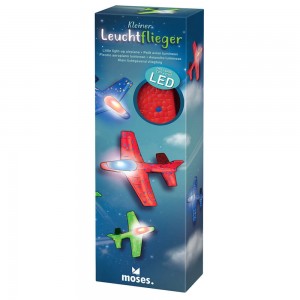 Pequeño planeador brillante... 2