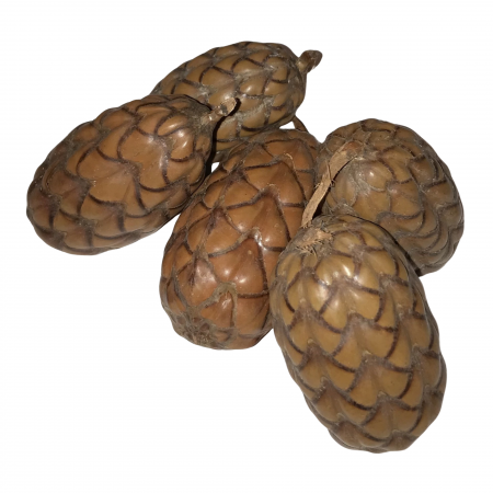 Piña Cerrada Uxi (5-8cm)