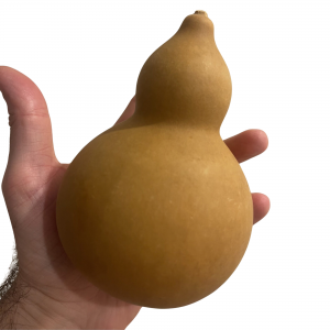 Mini Calabaza 13-15cm 2