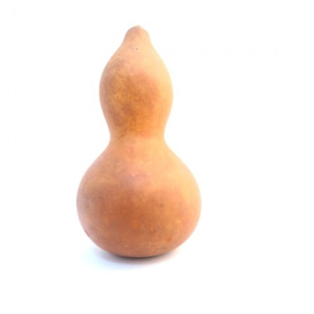 Mini Calabaza 13-15cm