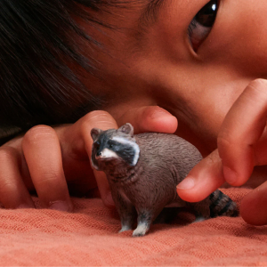 Mapache 2