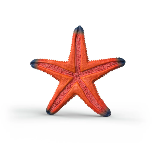 Estrella de mar que cambia...
