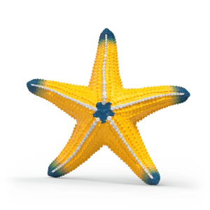 Estrella de mar que cambia... 2