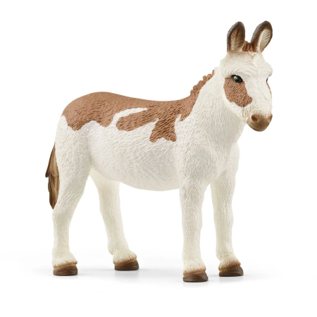 Burro americano, moteado